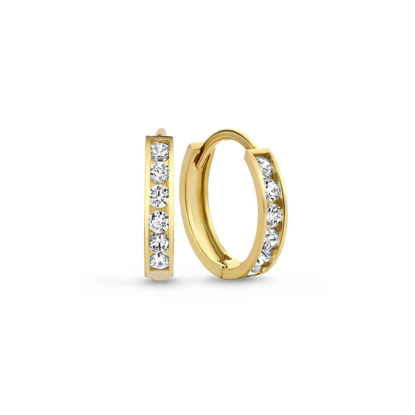 Dara Brillane earrings set with stones