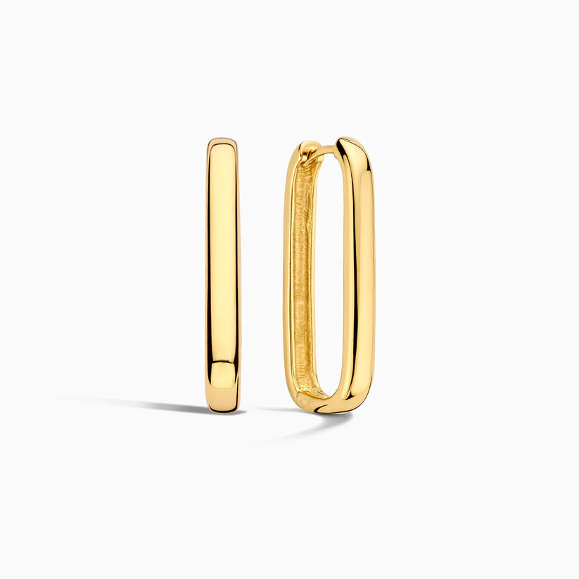 Large Icon Hoops