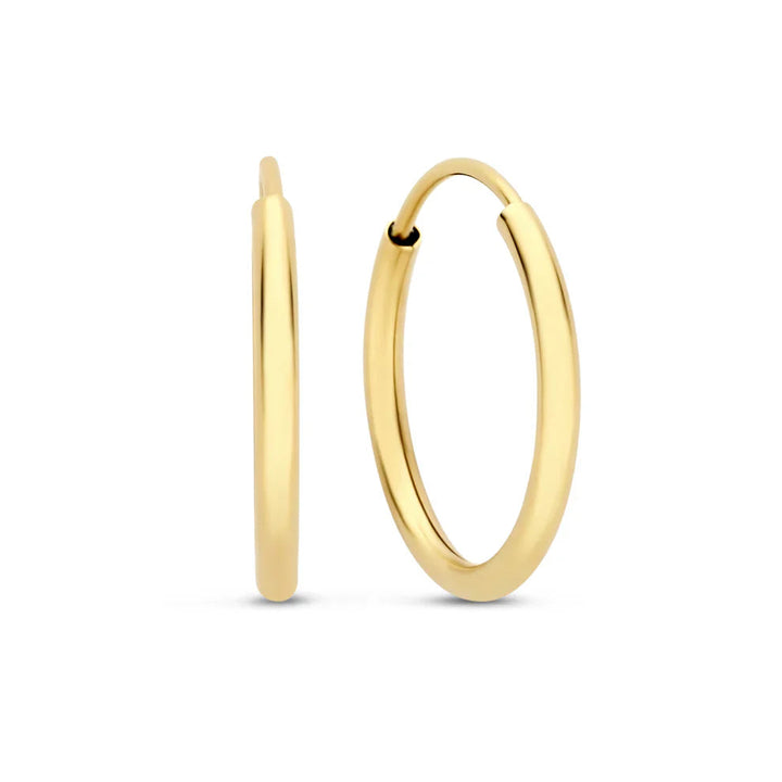 Noémie Sorel earrings